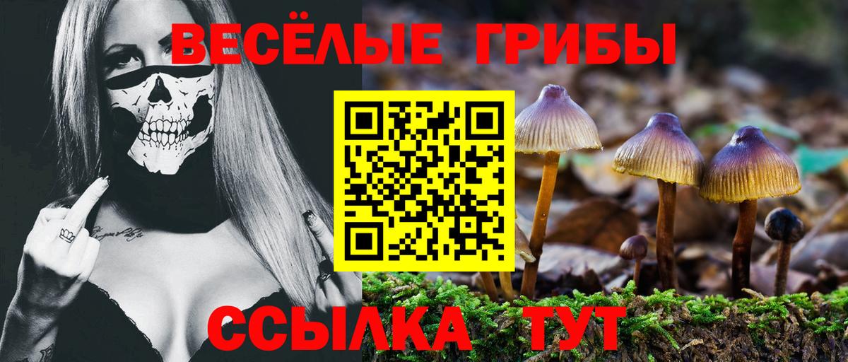 Тула  Галлюциногенные грибы MAGIC MUSHROOMS  Вход с VPN 